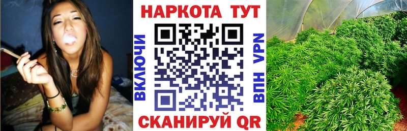 Как найти закладки Никольск А ПВП Каннабис Амфетамин ГАШ Мефедрон