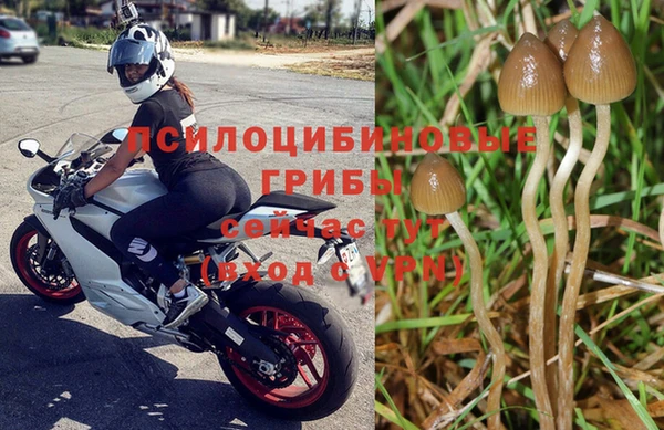 дживик Магадан