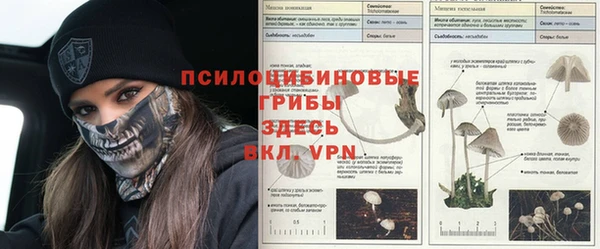 скорость Липки