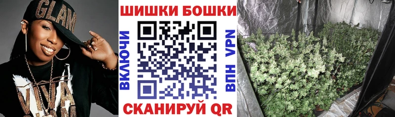Бошки Шишки сатива  где найти наркотики  Никольск 